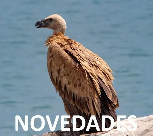 Últimas novedades naturales